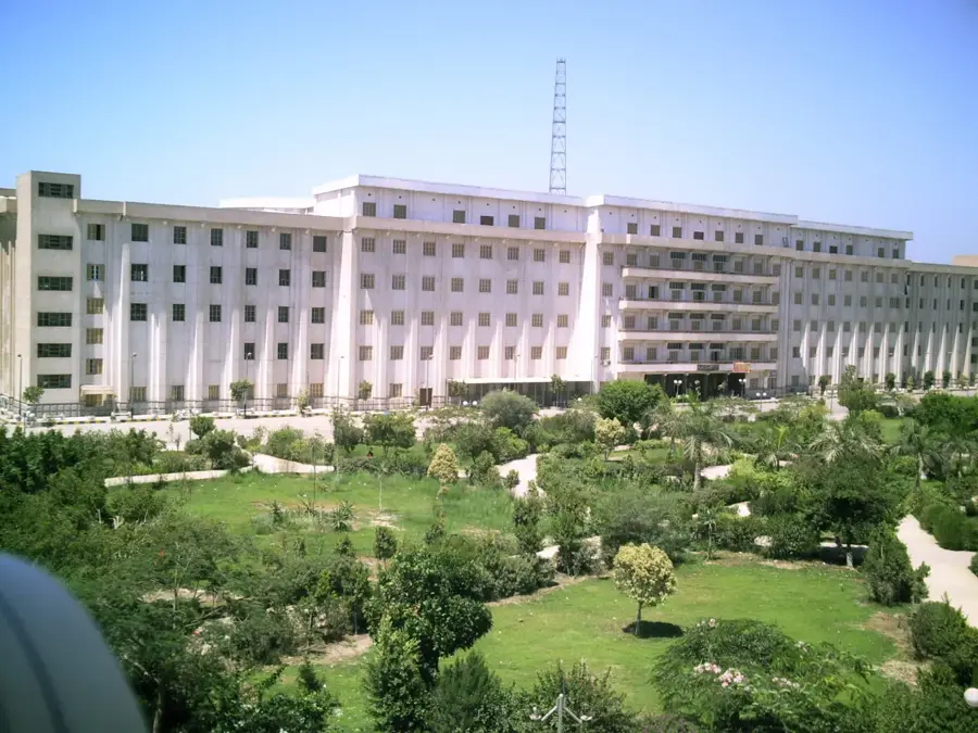 Beni Suef — Ferme Beni Suef (Egipt)