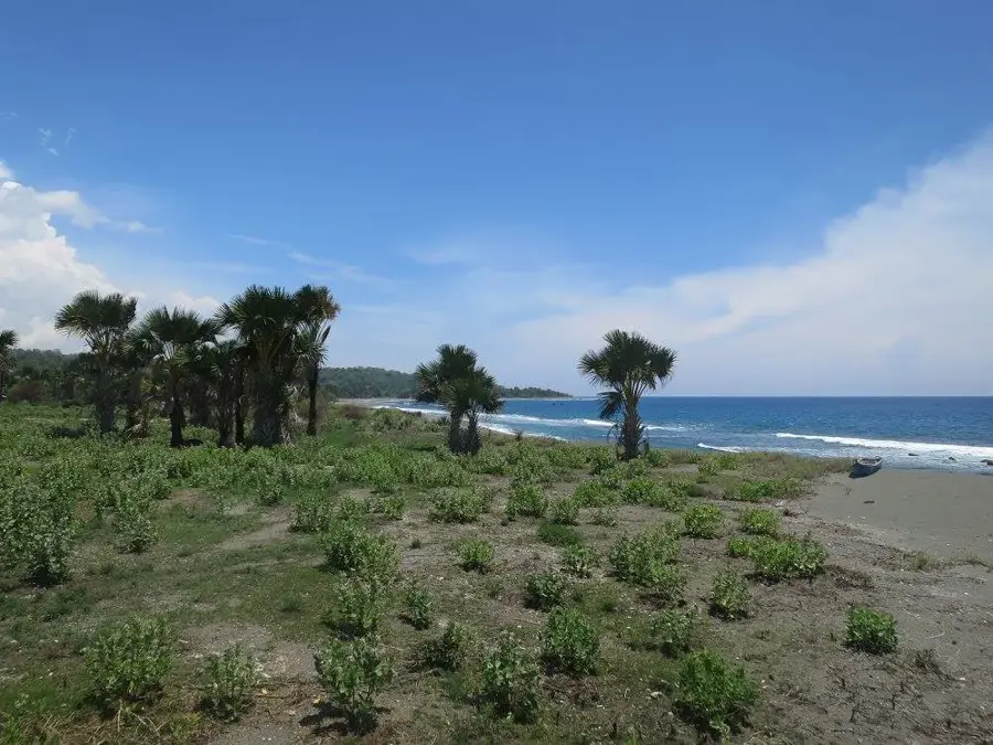 Küste von Betano — Zumalai (Timor-Leste)