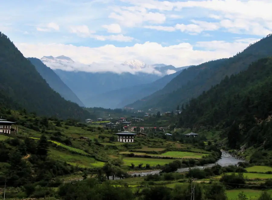 Tang-Tal