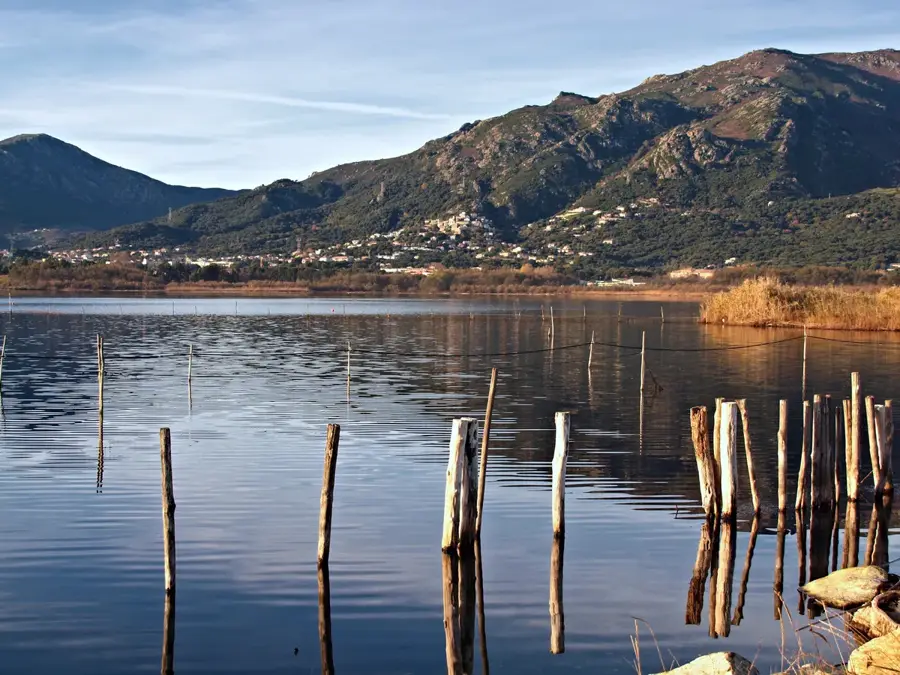 Biguglia – city