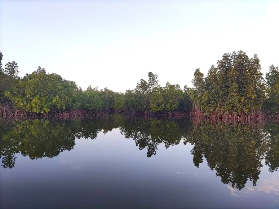 Bintang Bolong