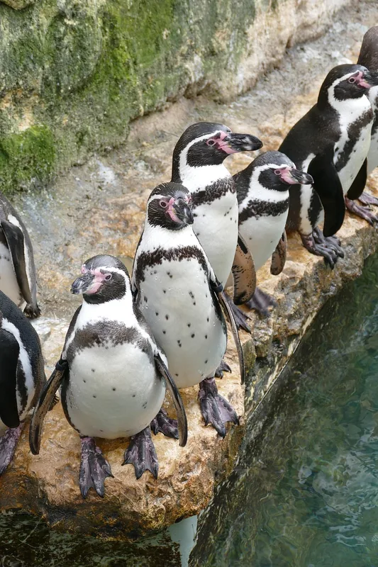 Bioparque Estrella — Texcoco (Mexiko)