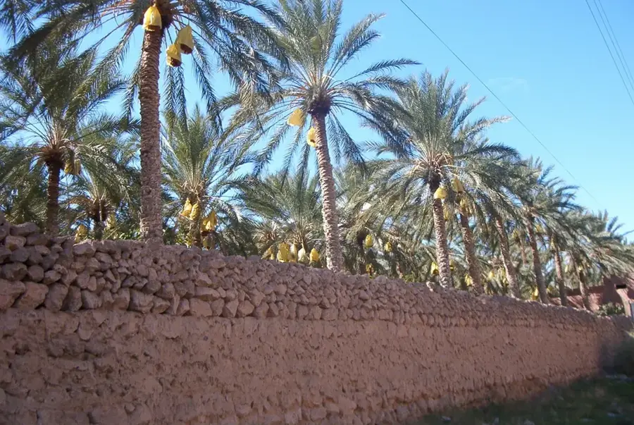Biskra — Boma Plateau (South Sudan)