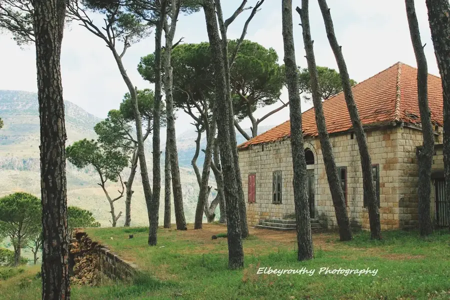 Kiefernwald von Bkassine — Hafen von Sidon (Libanon)
