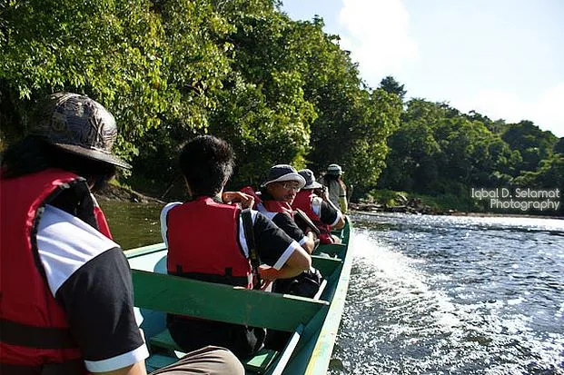 Nationalpark Ulu Temburong — Bukit Retak (Brunei Darussalam)