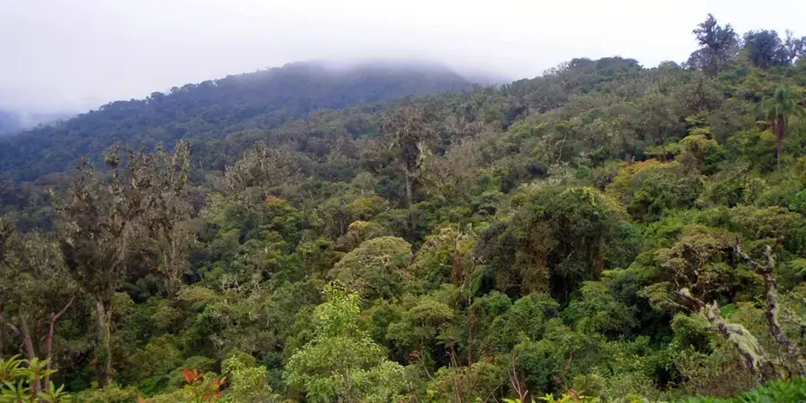 Amboró National Park