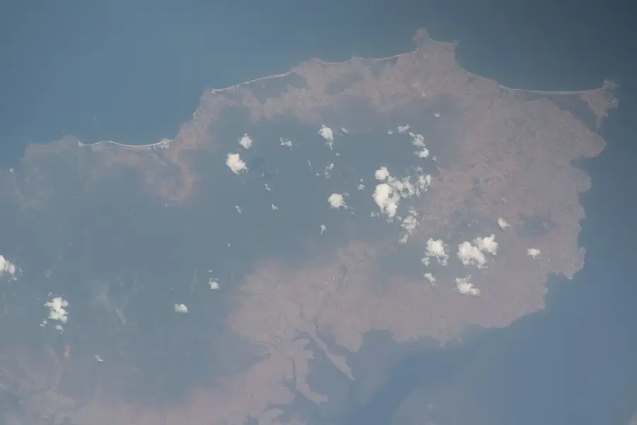 Boajibu