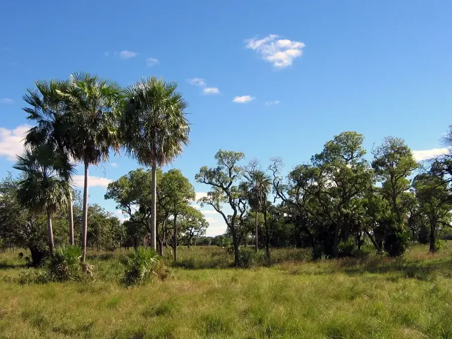Gran Chaco (Bolívia) — Valle de la Concepción Borvidék (Bolívia)