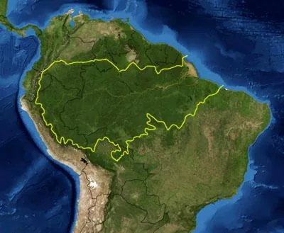 Bolíviai amazonasi esőerdő — Pando Brazilidió-régió (Bolívia)