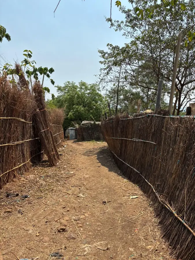 Parcul Național Boma — Pibor (Sudanul de Sud)