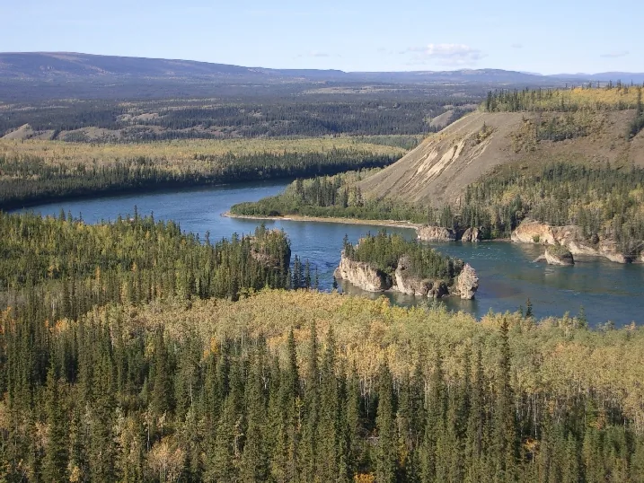 Canadian Boreal Forest