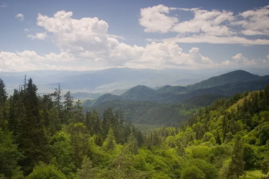 Nationalpark Bordschomi-Charagauli — Wardsia (Georgien)