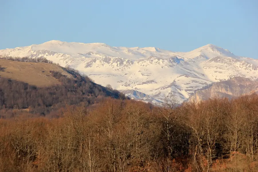 Bjelimići