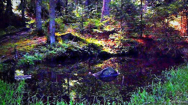 Bijambare Protected Landscape
