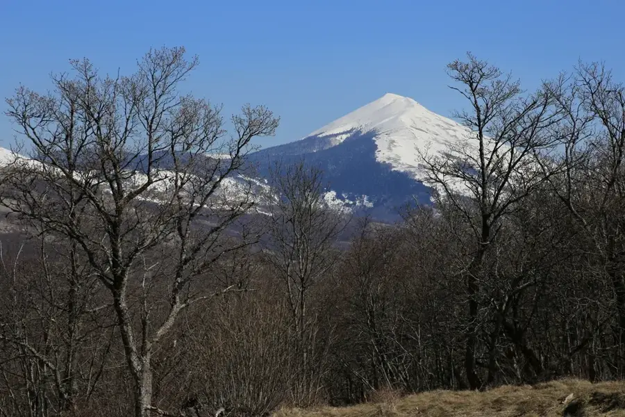 Cincar Planina