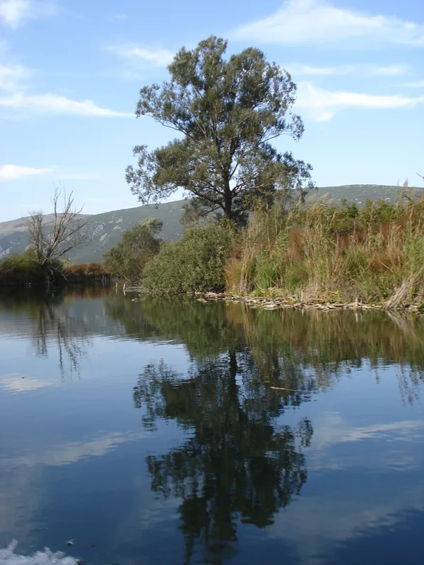 Hutovo Blato — Hutovo Blato Nature Park (Bosnia and Herzegovina)