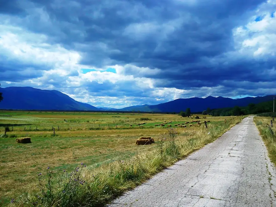 Livanjsko Polje