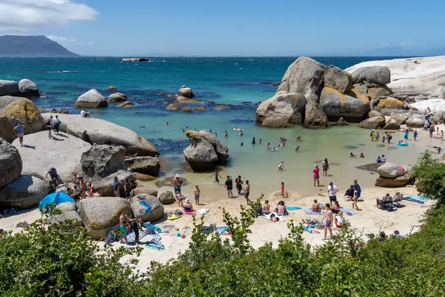 Boulders Beach Pinguine