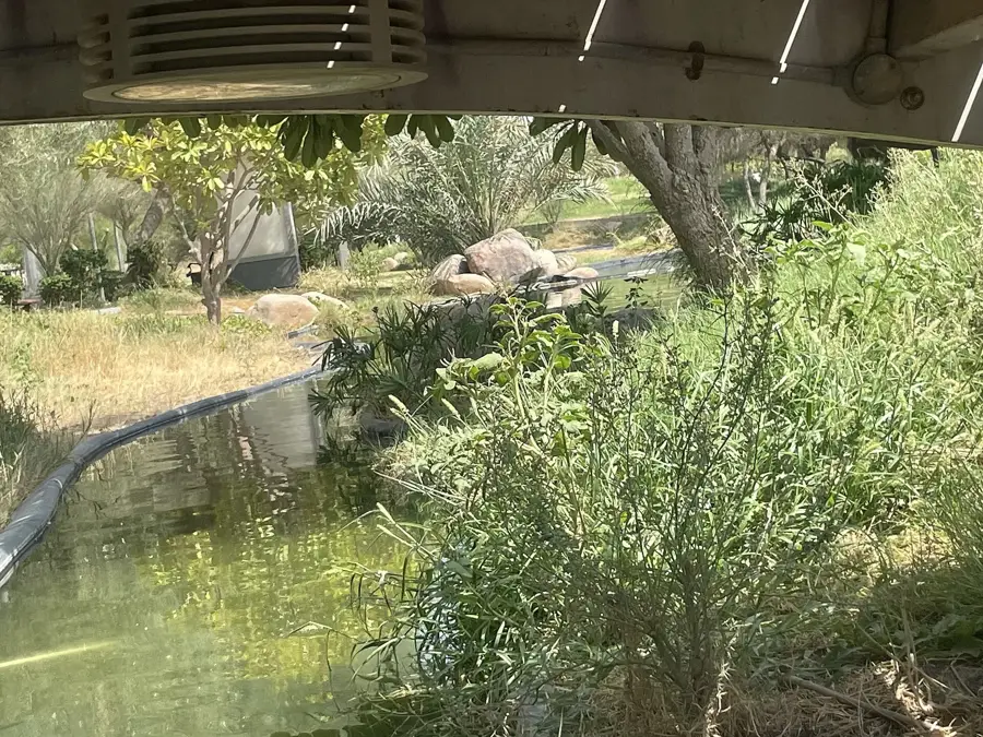 Boulevard Park — Salwa (Kuwait)