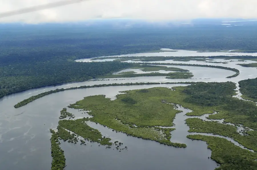 Amazonasi esőerdő — Amazonas (Brazília)