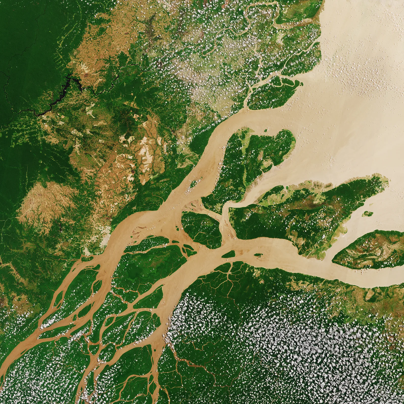 Amazonas