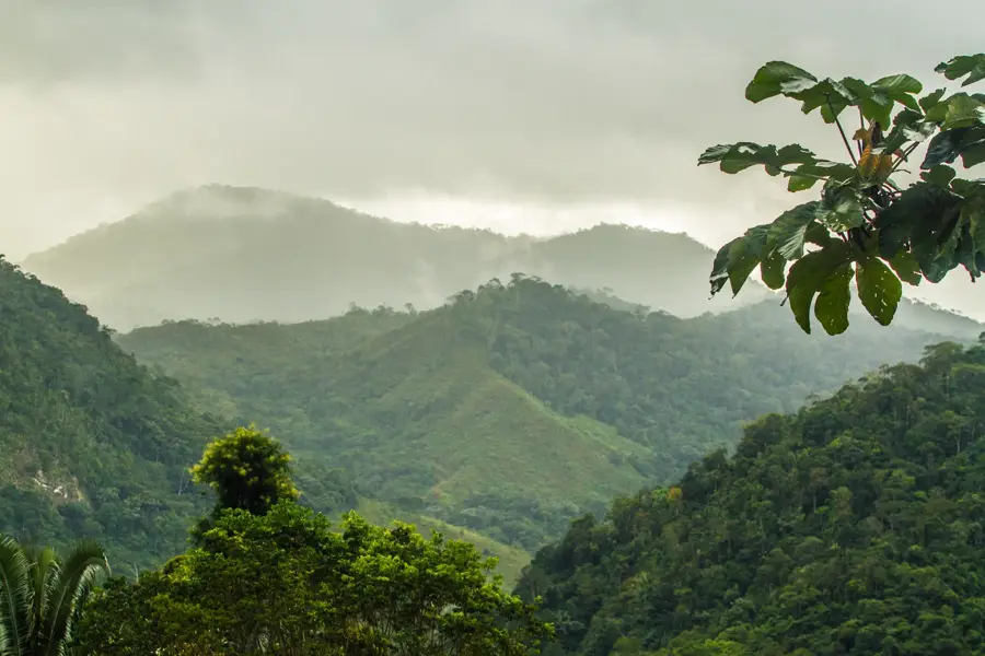 Atlantic Forest — Barra Lighthouse (Brazil)