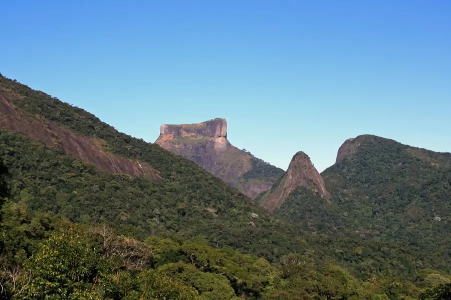 Tijuca-Wald