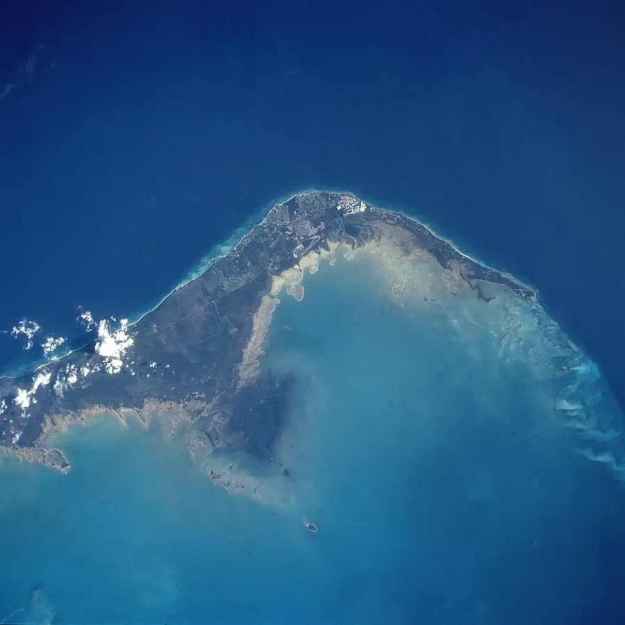 Grand Bahama Shipyard — Sea Grape Harvesting (Bahamas)