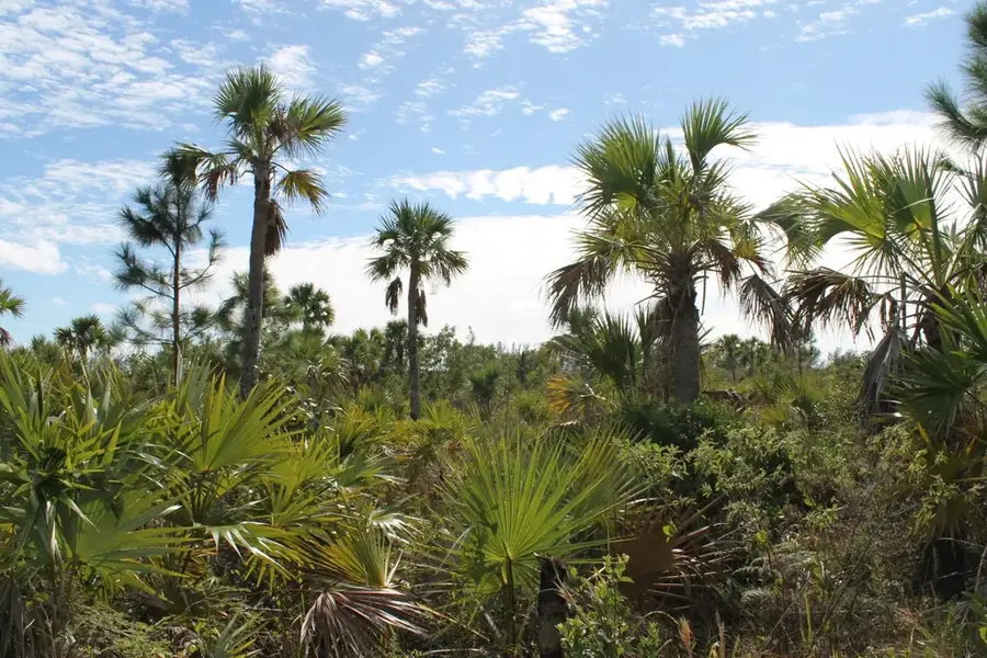 Lucayan National Park — Dean's Blue Hole (Bahamas)