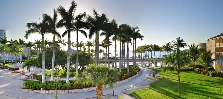 Port Lucaya Marina — Sea Grape Harvesting (Bahamas)