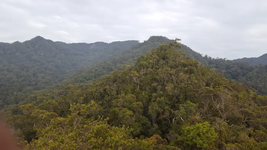 Bukit Pagon — Bukit Retak (Brunei Darussalam)
