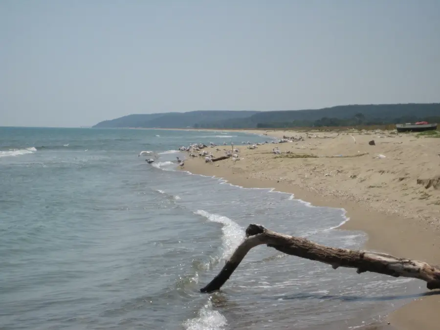 Kamchia Reserve