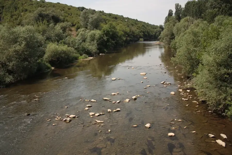 Osăm