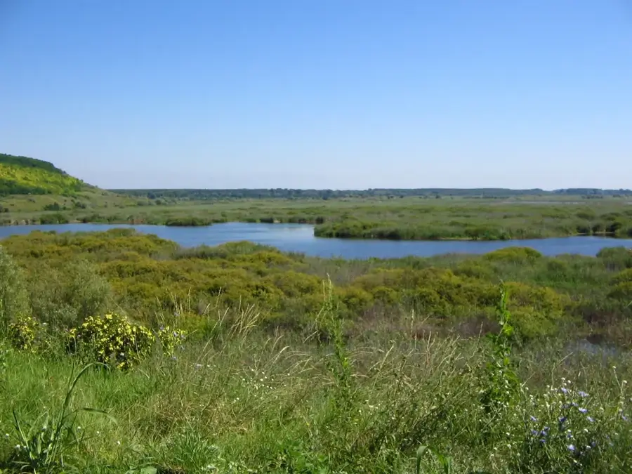 Rezervația Srebarna — Lacul Amara (România)