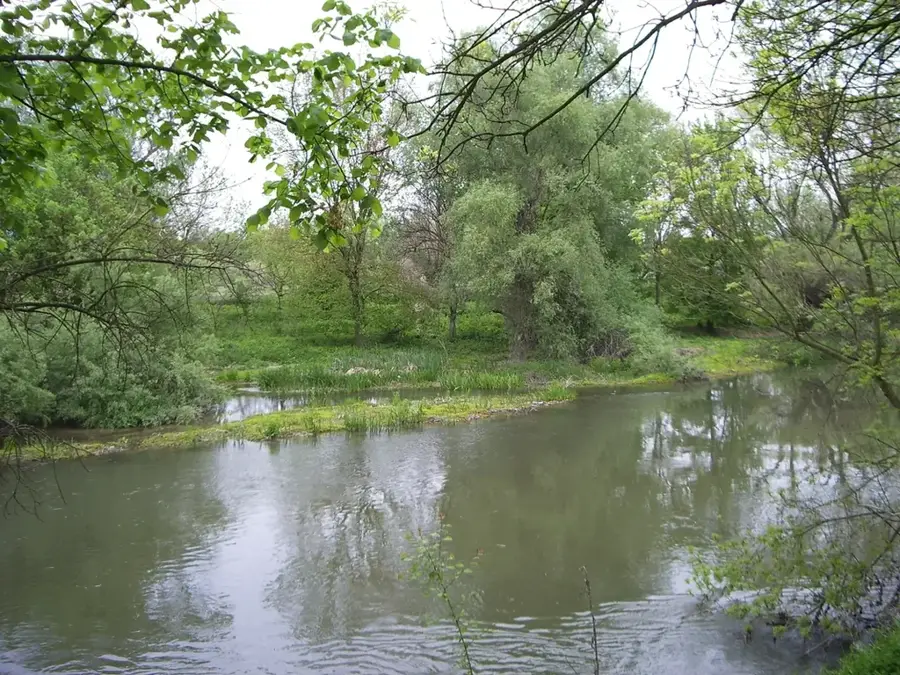 Tundzha River