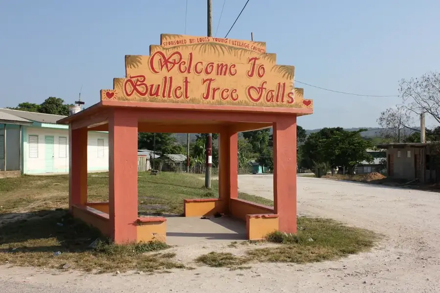 Bullet Tree Falls — Santa Elena (Belize)