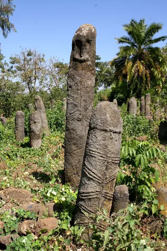 Bulula