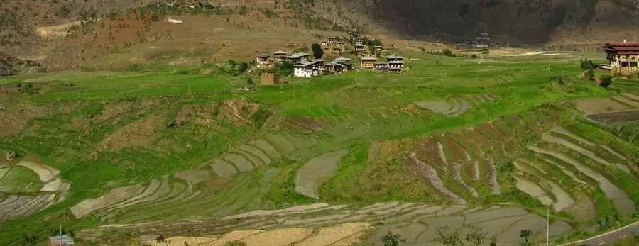 Livezile de meri din Bumthang — Valea Tang (Bhutan)