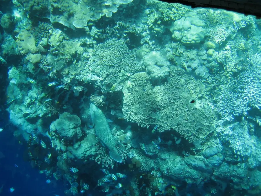 Bunaken National Marine Park (Indonesia)