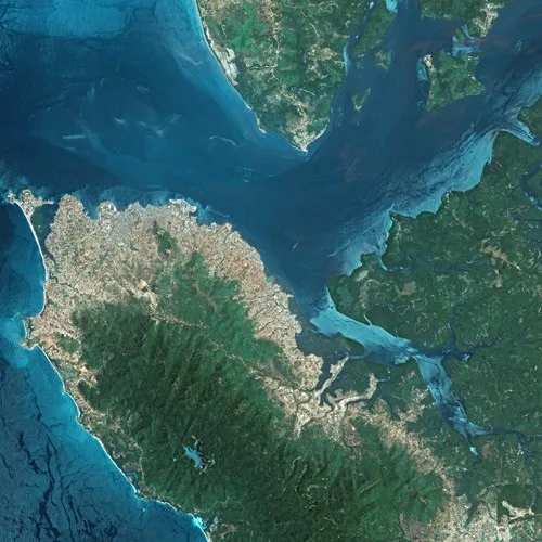 Insula Bunce