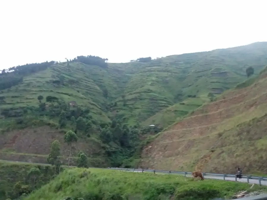 Bundibugyo