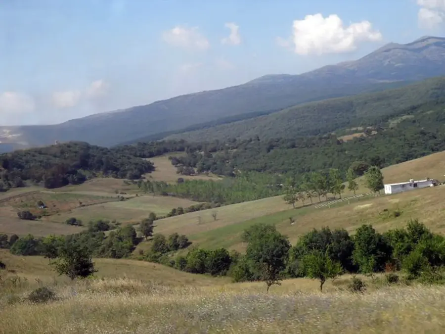 Pfirsichgärten von Bursa