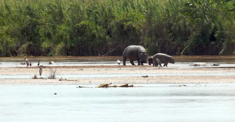 Rusizi Nemzeti Park