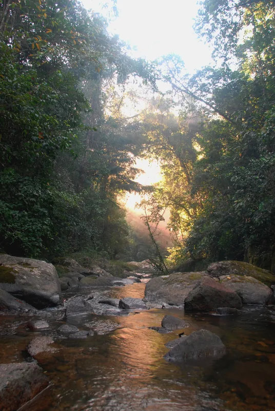 Columbia River Forest Reserve — Moho River (Belize)