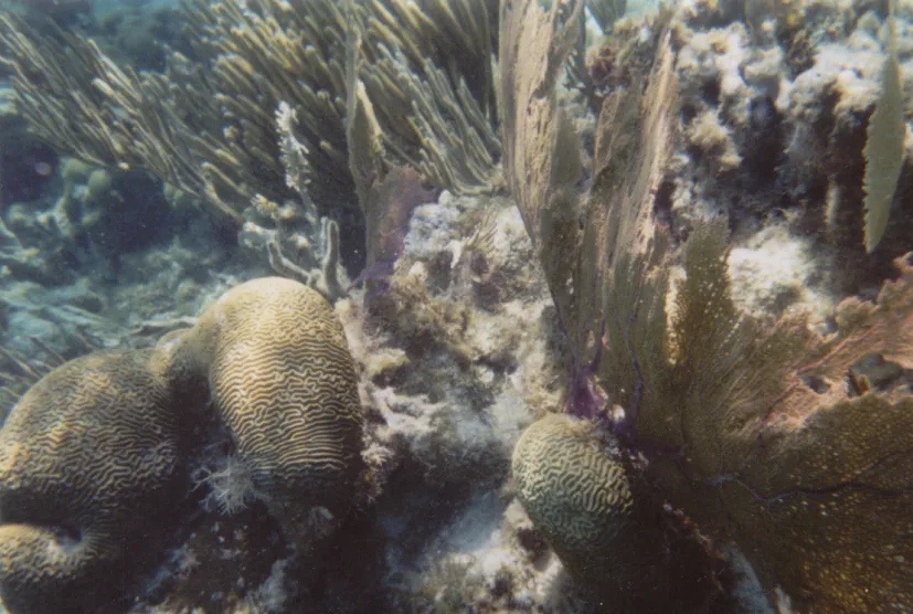 Hol Chan Marine Reserve — Ek' Balam (Mexico)