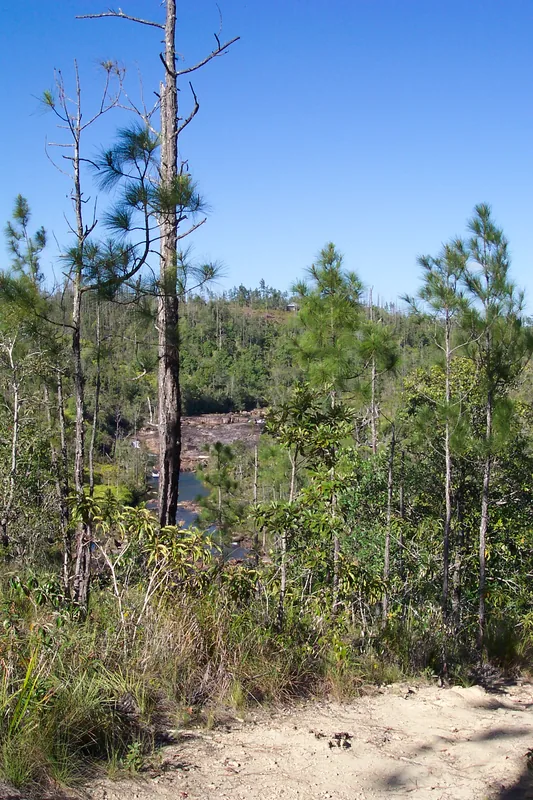 Mountain Pine Ridge — Caribbean Sea (Belize) (Belize)