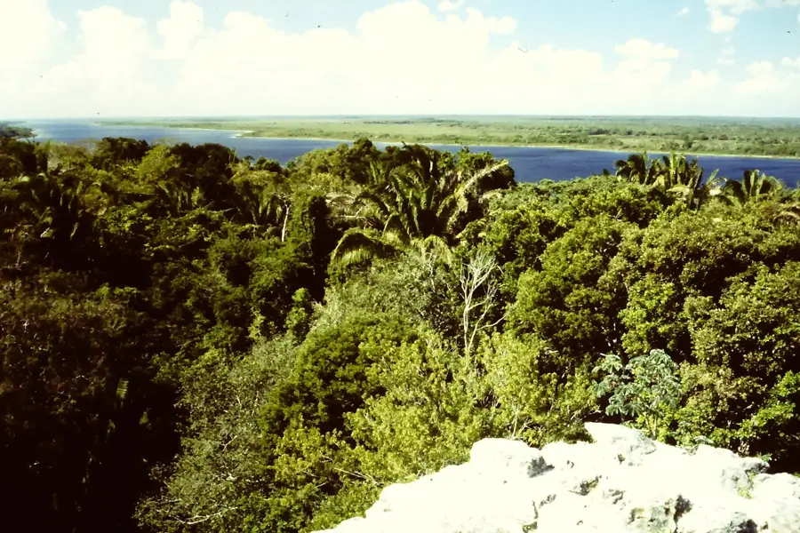 New River Lagoon — Rio Bravo Conservation Area (Belize)
