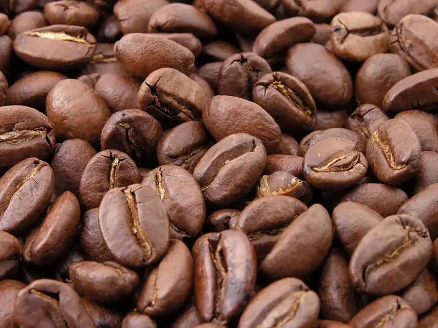 Café Soluble Coffee Processing Plant