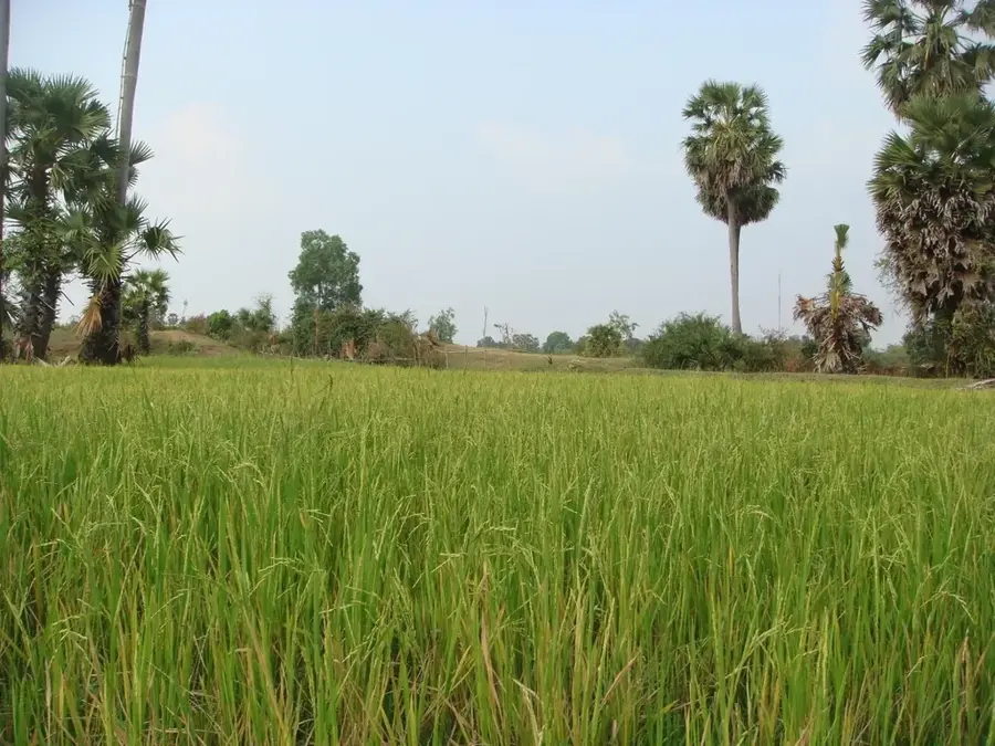 Kampong Thom