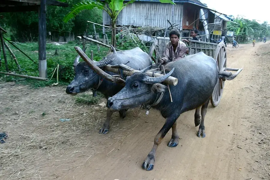 Stung Treng